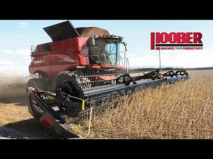Helgason Farms Case IH 7250 Combine Soybean Harvest
