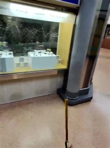 Windows shining as bright as the diamonds 💎 💍 #windowcleaning #commercialcleaning #traditional #satisfyingvideo #cleantok