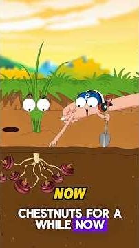 The Secret To Harvesting Sweet Water Chestnuts! 🤯🌾 #waterchestnuts #agriculture #gardeningtips