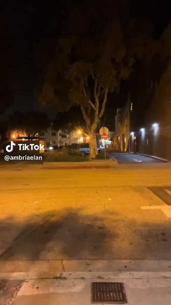 Cat Chattering: A Fun Look at Feline Communication