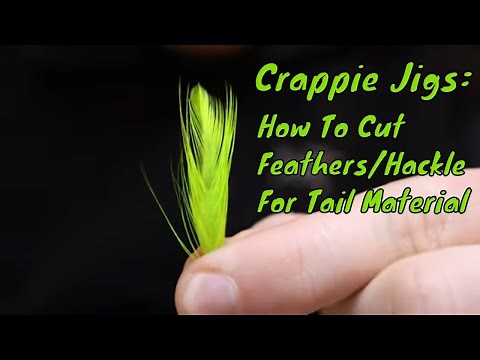 Crappie Jigs: How To Cut Feathers / Hackle For Tail Material