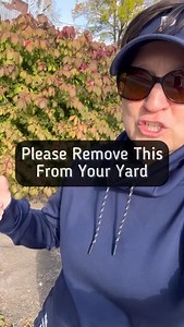 194K views · 5.2K reactions | I know how much people really love...