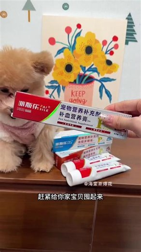 派斯乐营养补充剂，营养膏猫狗通用。#宠物用品 #宠物营养 #养宠必备 #派斯乐 #宠物健康