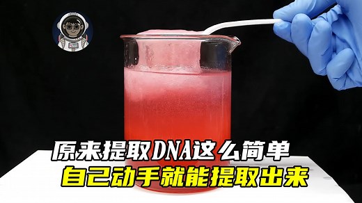 原来提取DNA这么简单，在家自己动手就能提取出来