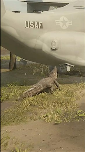 Miért eszi a repülőmet?? #shorts #rdr2