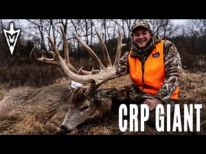 Huge CRP Buck, Five Encounters with a River Bottom Brute | Midwest Whitetail