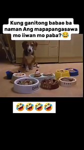 On July 16, 1990, a powerful earthquake shook Luzon a tragedy that left a wound in Philippine history. Thousands of lives lost,… See more #cctocredittotherightfulowner | Belen Bustillos Casio