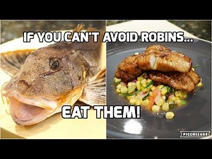 Catch and Cook: Sea Robin (Gurnard) w/Roasted Corn Relish!