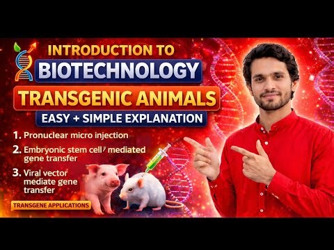 What is Transgenic Animals? Steps for production of Transgenic Animals? Its Application