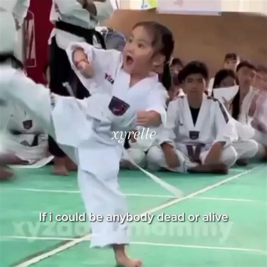 Taekwondo Training Techniques and Highlights