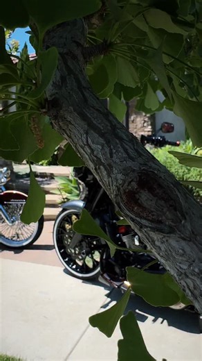 📍 Long Beach Custom Baggers .com 🏍️ 562-449-7199 text line 24/7 | Long Beach Custom Baggers