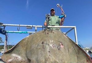 Pennsylvania Man Secures A Bowfishing World Record After Bagging A 7-Foot, 222.5 Lb Butterfly Ray | Whiskey Riff