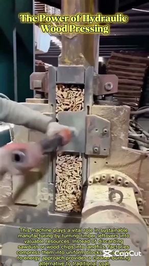 The Art of Wood Waste Compaction