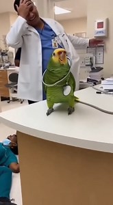 886K views · 10K reactions | I'm doctor now 列 | Random Sparks | Facebook