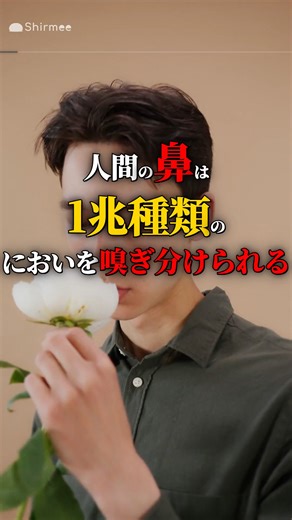 鼻が嗅ぎ分けられる1兆種類のにおい