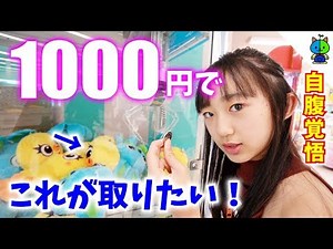 [Crane Game] 1000 yen challenge at a not-yet-unmanned arcade! Can you get a big win? [Momoka Chan...