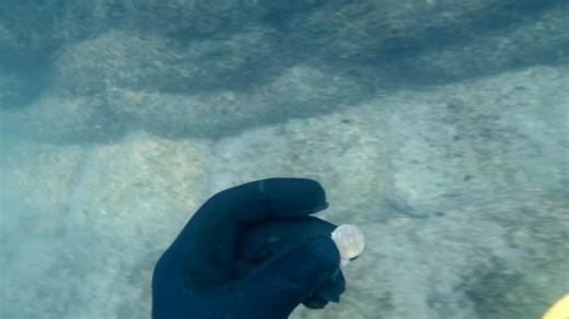 They were searching for sunken treasure - then a human-looking bone came out of the river