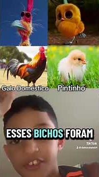 Como São os Animais de o Bom dinossauro no Filme na vida real