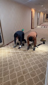 Simple carpet fix in seconds | DIY Panda