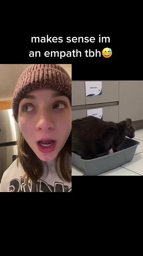 Understanding Litterbox Trauma in Cats: A Troubling Incident