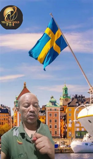 standard Swedish vs Norwegian languages course with kasu#language #Sweden🇸🇪 #norway🇳🇴 #language