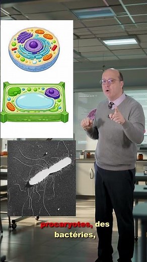 Common characteristics of all living cells