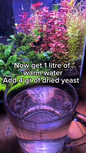 16K views · 288 reactions | Make your DIY CO2 ⚡ #aquarium #aquariumhobby #aquariumlife #plants | Trip Aquarium | Facebook