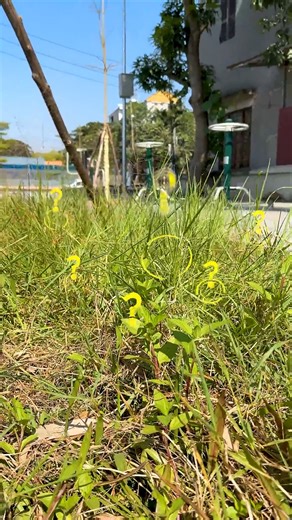 Small Vegeta Wasn’t Real… Frieza Set the Trap?! 😱 | Gaming Alien