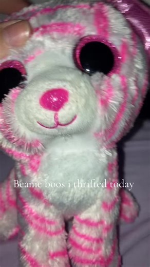 beanie boos on TikTok