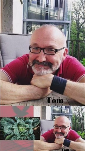 Channel introduction simply delicious #foodstagram #shorts #recipe new banner and logo #simplydel...