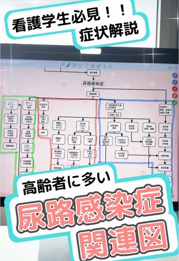 尿路感染症の症状を徹底解説！