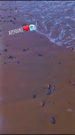 Musique Kabyle et Vibes Positives à Tizi Ouzou