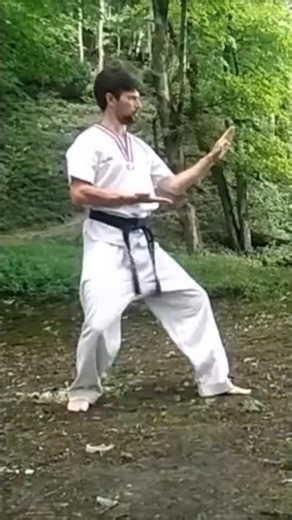 TAEKWONDO BASICS - DOUBLE KNIFE HAND BLOCK #martialarts #taekwondo #kukkiwon #poomsae #bunkai
