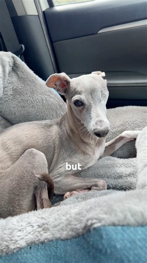 The never-ending trials and tribulations of my first born.