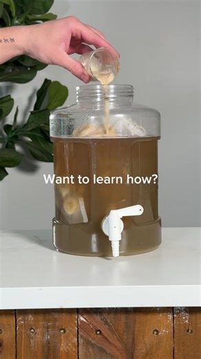 WHAT DOES FERMENTATION LOOK LIKE?