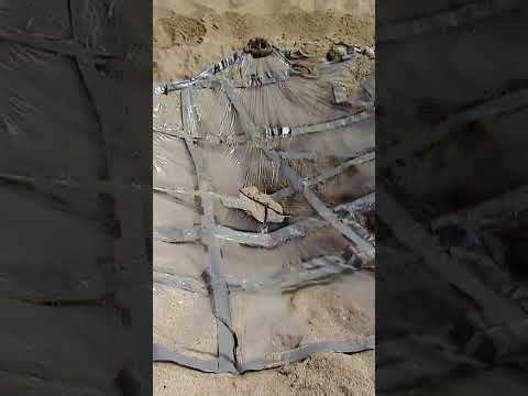 Master the one survival skill everyone needs