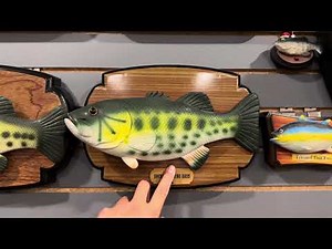 My collection of JSNY singing fish