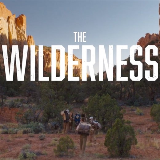 The Wilderness