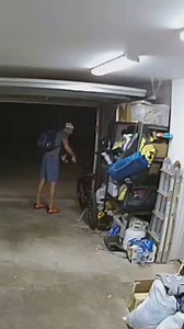 Un cane decisamente poco da guardia. I filmati di una telecamera di sicurezza di San Diego, negli Stati Uniti, hanno ripreso le immagini di un ladro che si è introdotto all'interno di un garage per rubare una bicicletta del valore di 1300 dollari. Ad accogliere il ladro anche il golden retriever dei padroni di casa, che, anziché scacciare l'ospite, gli si è avvicinato in cerca di coccole. Il ladro allora ha lasciato per un attimo la refurtiva per giocare con il cane. Nell'audio gli si sente dire