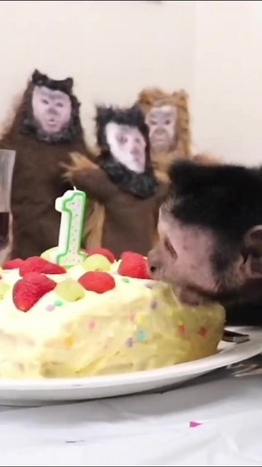 Monkey Birthday Fun! #monkey #birthday #party