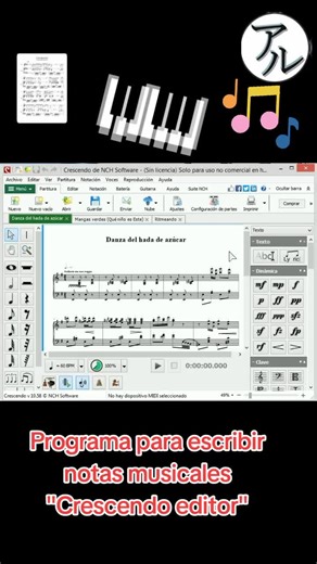 Armando Lima on TikTok