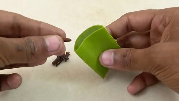 🌱 Grow your own clove plant at home easy steps from seed to harvest! 🌿