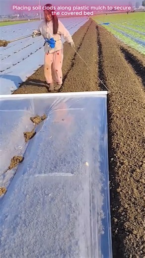 🌱🛠️ Soil-Clod Tool for Securing Plastic Mulch