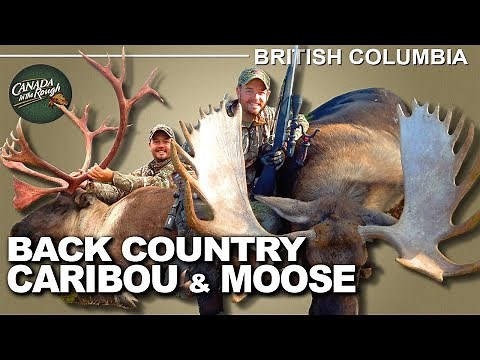 Incredible Caribou and Moose Hunt in BC | Canada in the Rough