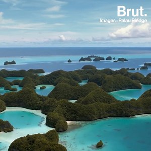 Pour visiter les îles Palaos, chaque touriste doit signer un serment promettant de protéger l'environnement. | Brut nature FR