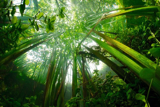 There are 200 chalkstreams in the world, almost all are in England, and they're the most biodiverse freshwater habitat on the planet