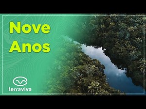 Direito e Certo: Código Florestal Brasileiro completa nove anos