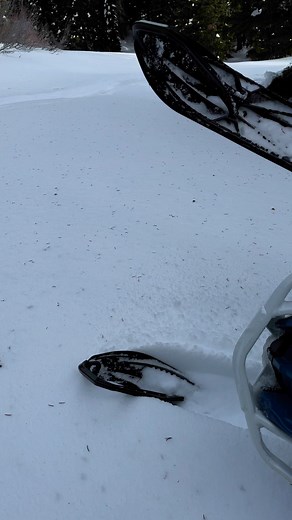 Heavy Breathing 😮‍💨 😂 | Mod Tongue Racing