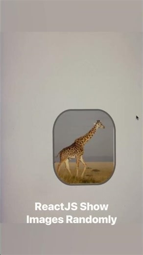 React JS | Show Images Randomly #reactcomponents #reactjs #reactdeveloper #codingshorts