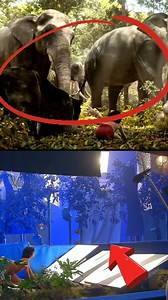 the jungle book #behindthescenes | Behind The Scene